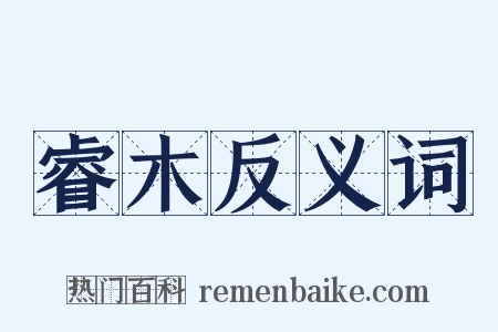 睿木反义词是什么意思的图片